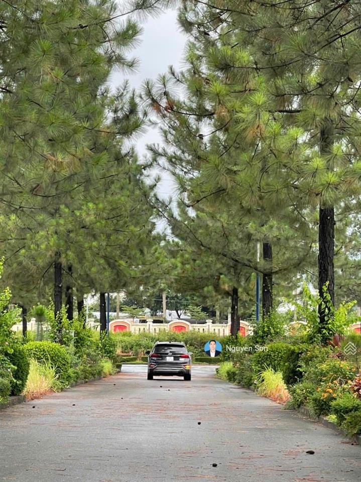 Cần bán đất biệt thự dự án thephoenix garden đan phượng giá đầu tư