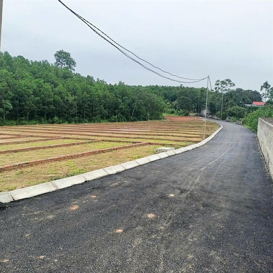 Chỉ với 195tr có ngay lô đất sẵn sổ cất két tại lạc thủy, hòa bình