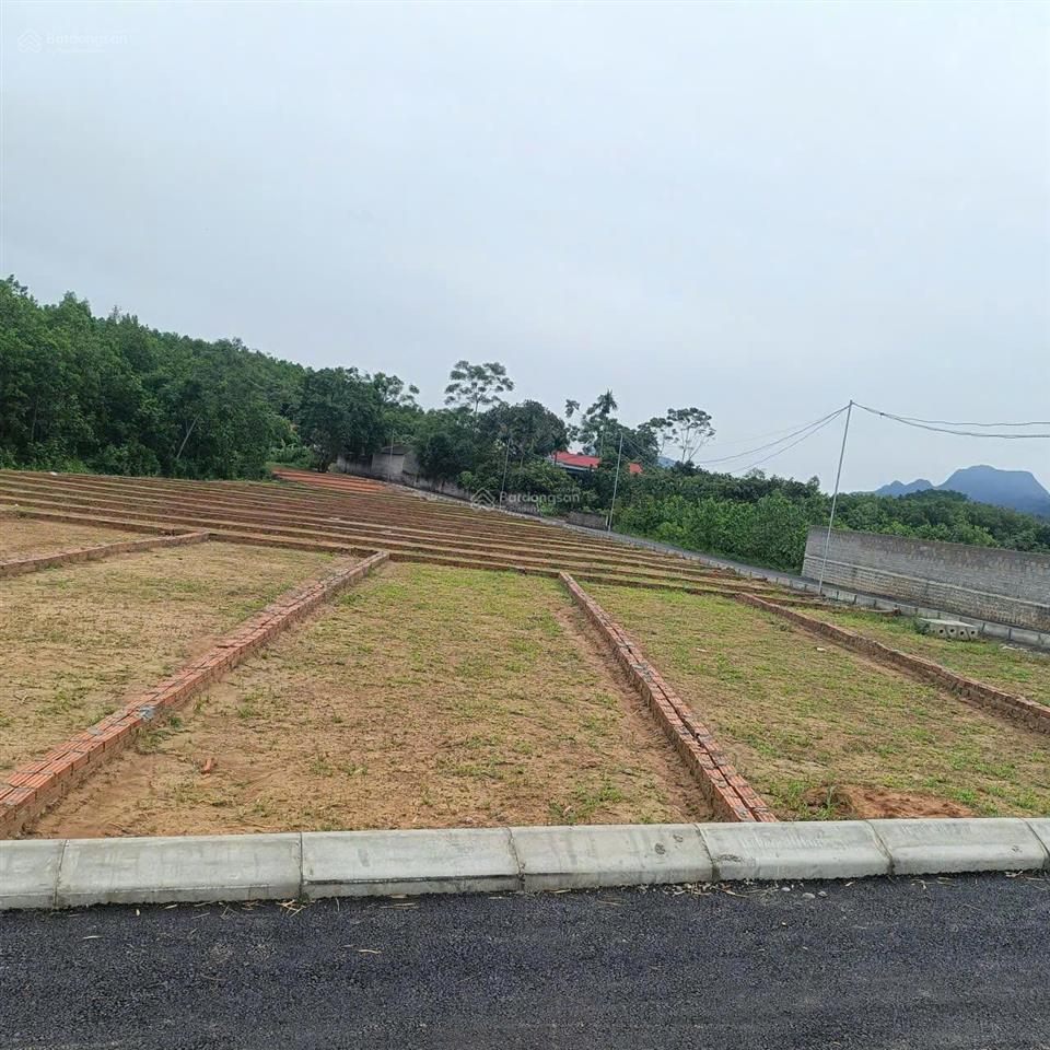 Chỉ với 195tr có ngay lô đất sẵn sổ cất két tại lạc thủy, hòa bình