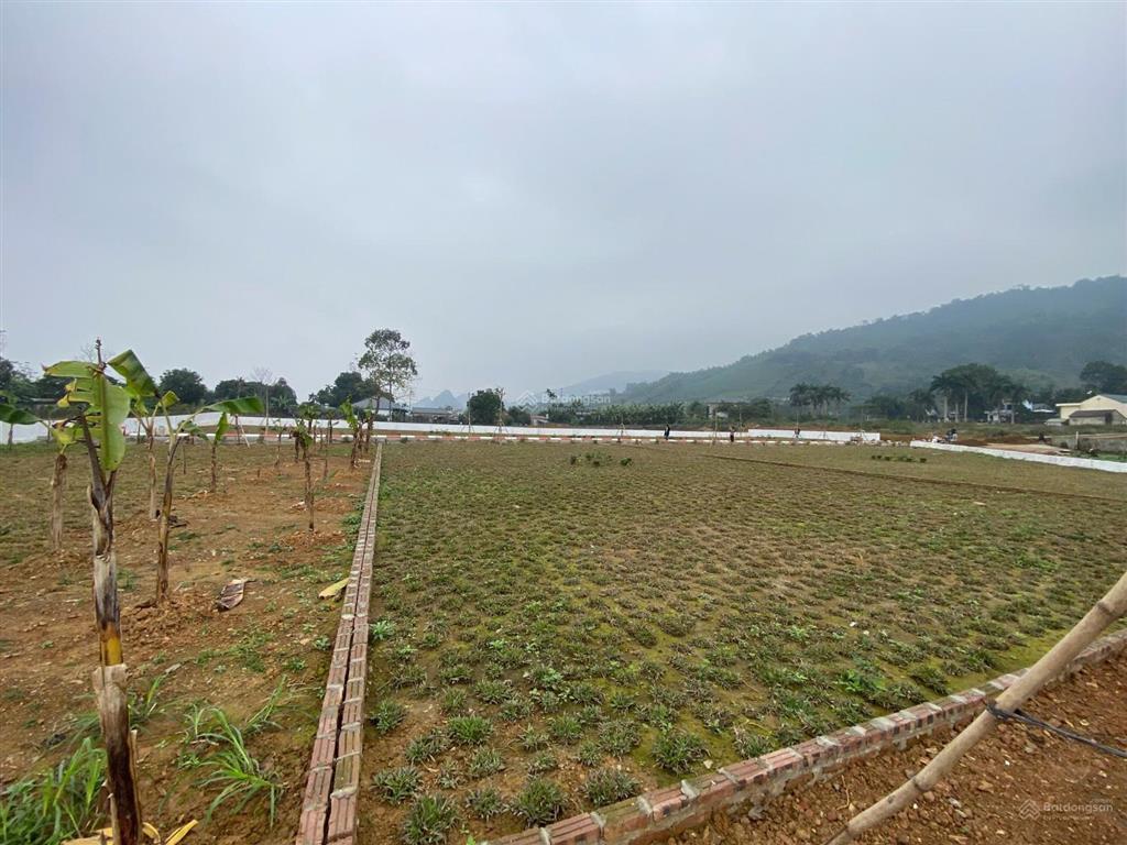 Bán lô đất 420m tại cư yên, lương sơn, hòa bình cũ nay là liên sơn, phú thọ