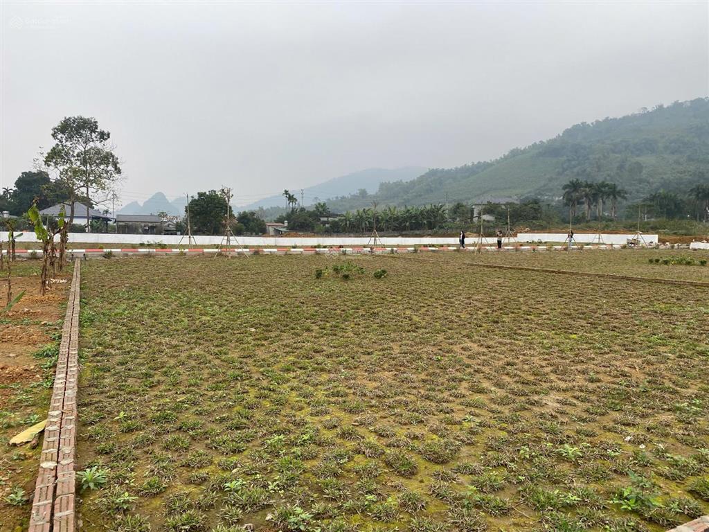 Bán lô đất 420m tại cư yên, lương sơn, hòa bình cũ nay là liên sơn, phú thọ