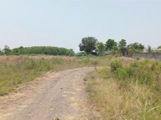 Chính chủ cho thuê 1 ha đất làm rẫy bằng phẳng, đường 2,5m rải đá, xe tải 5 tấn vào được