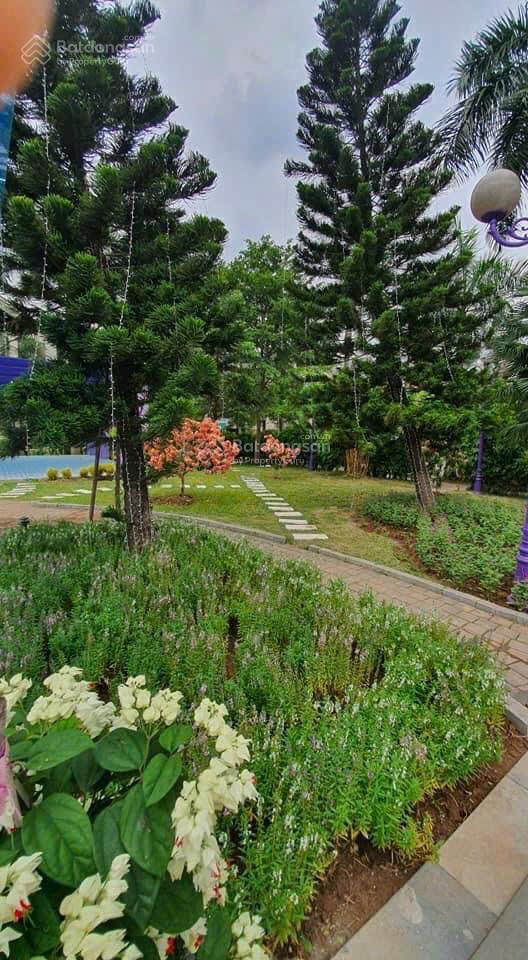 Hàng hiếm bán trong tuần lô liền kề 100m sunny garden city, trục đường 15,5m, giá 16 tỷ