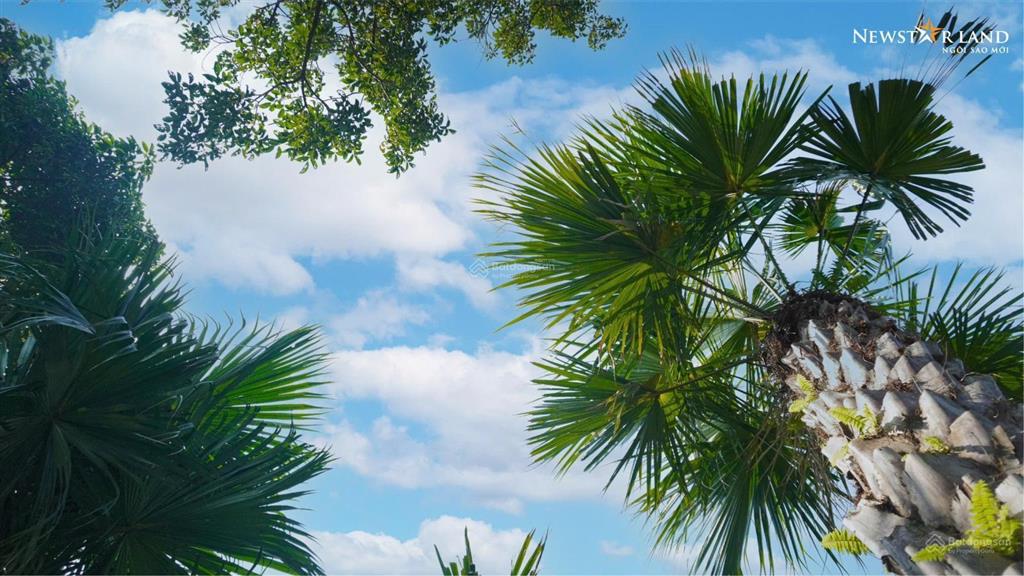 Cần bán gấp lô biệt thự song lập 180m hà đô charm villas, hướng tb, giá nhỉnh 20 tỷ.  0981 669 ***