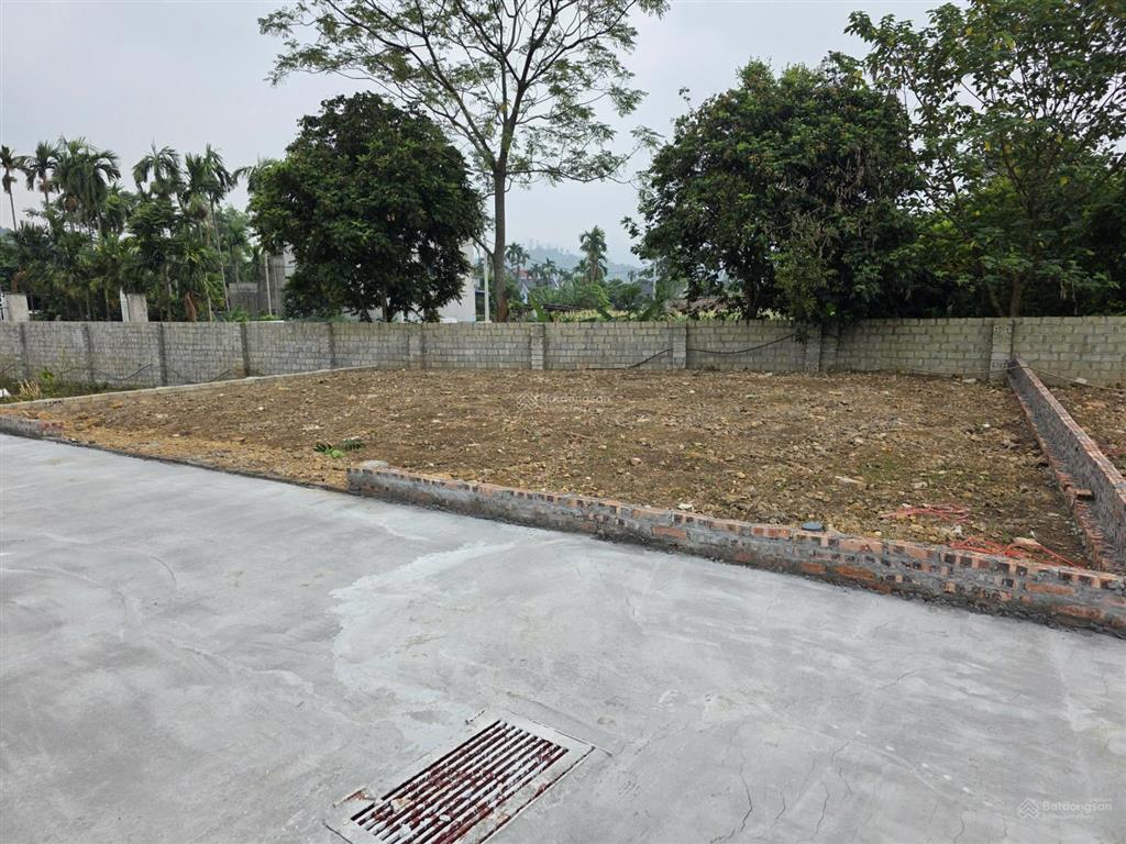 Gia đình cần bán đất 152m² tại yên bình thạch thất (nay là xã yên xuân mới).