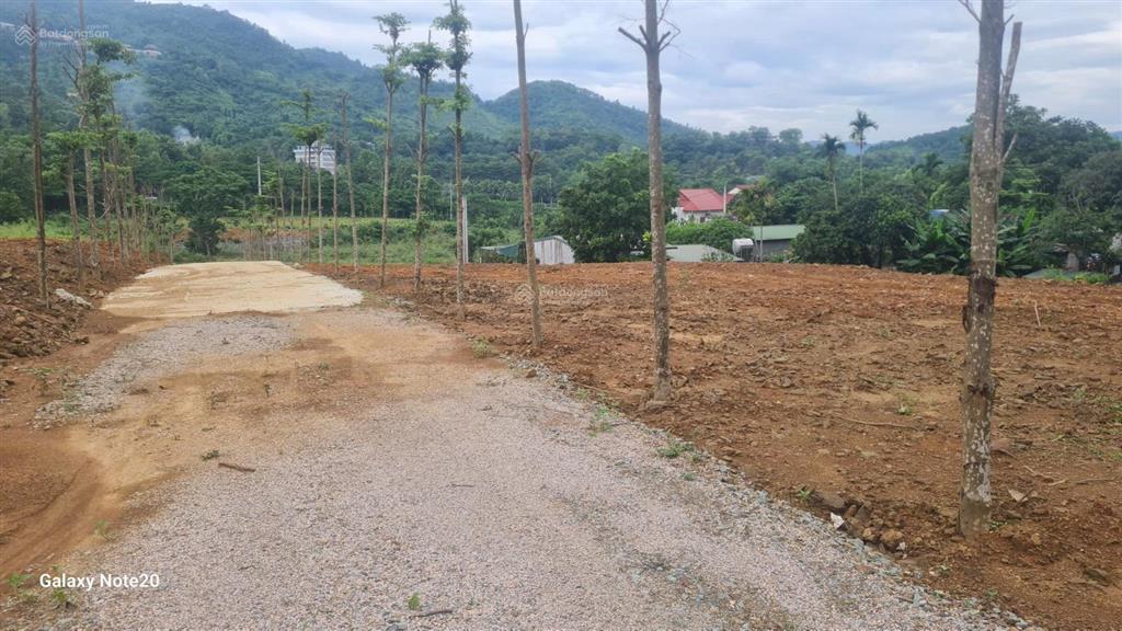 Bán 4692m2 đất mặt đường tỉnh lộ 446 xã yên xuân hà nội. thổ cư 1000m2