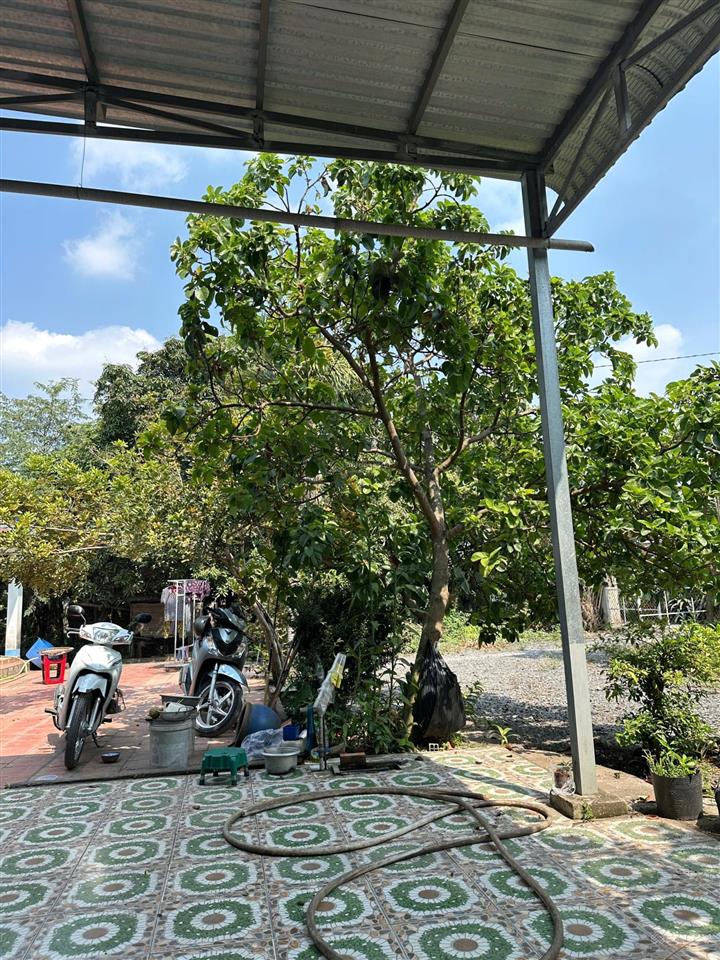 Gấp bán phân chia tài sản giảm 1 tỷ đất tặng nhà 3 gian