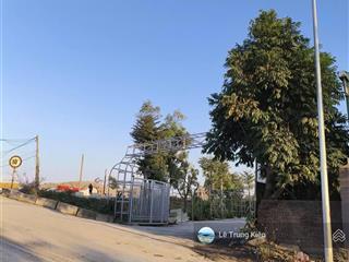 Bán đất tặng dãy nhà trọ mặt đường trần minh thắng, hải thành 1 hưng đạo dương kinh