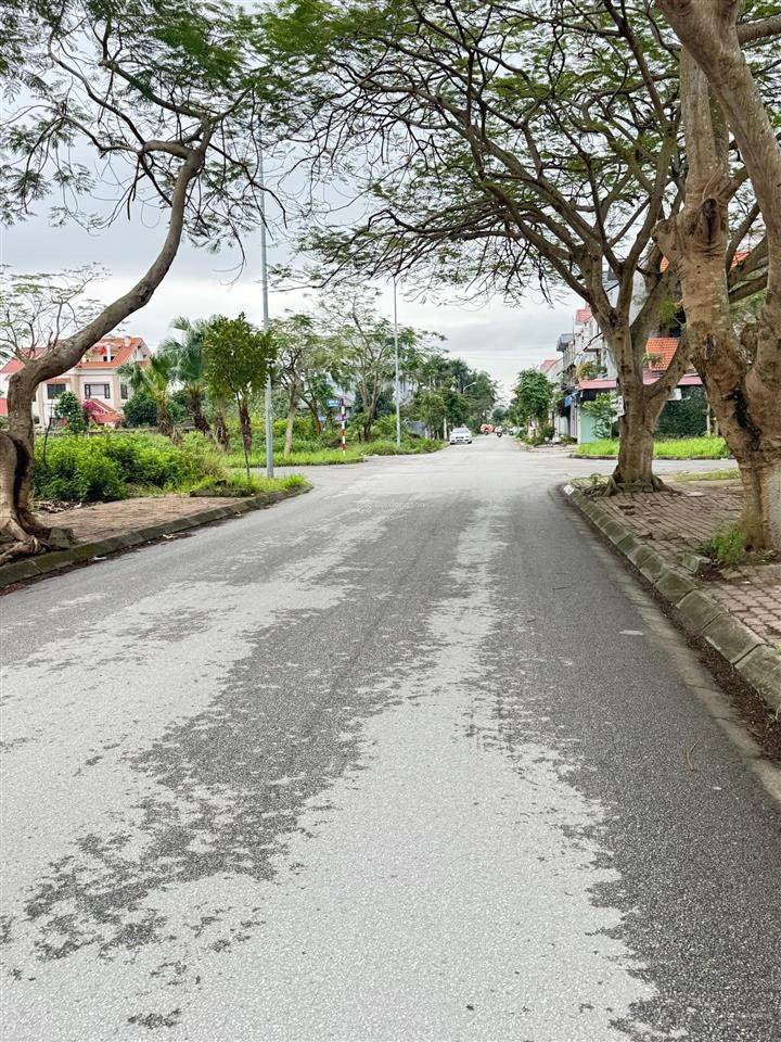 Mở bán đất đấu giá anh dũng 8, hưng đạo, dương kinh, hải phòng