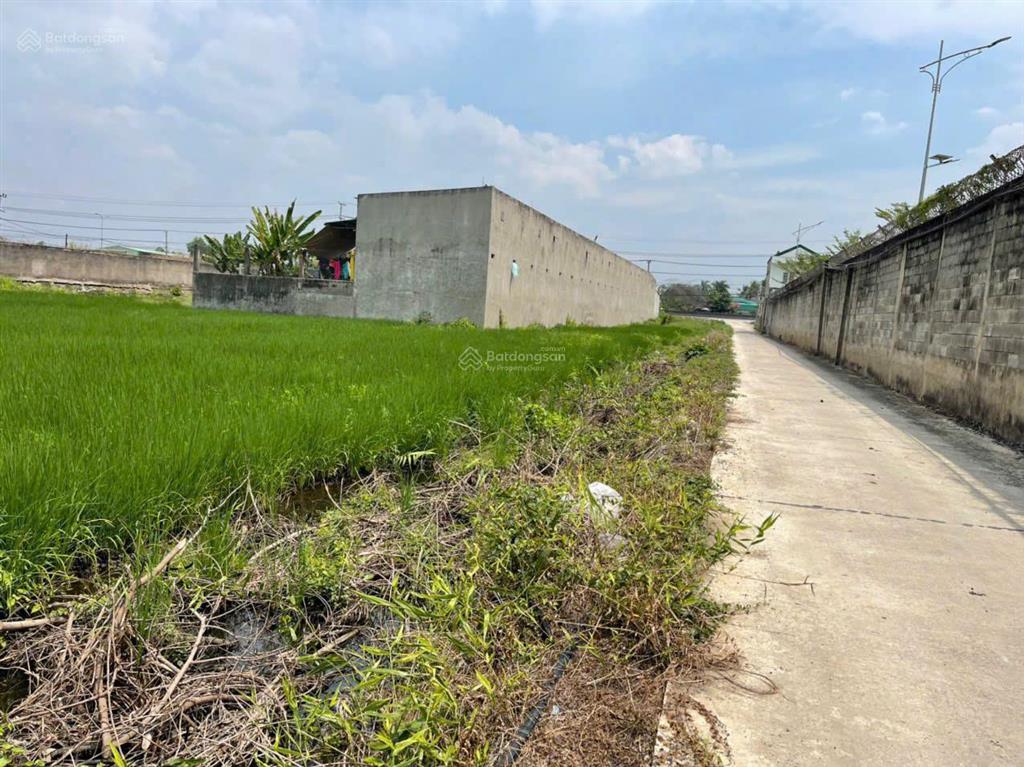 Đất làm kho bãi cty mt tl 824. ấp 7, xã lương hoà, huyện bến lức, tỉnh long an