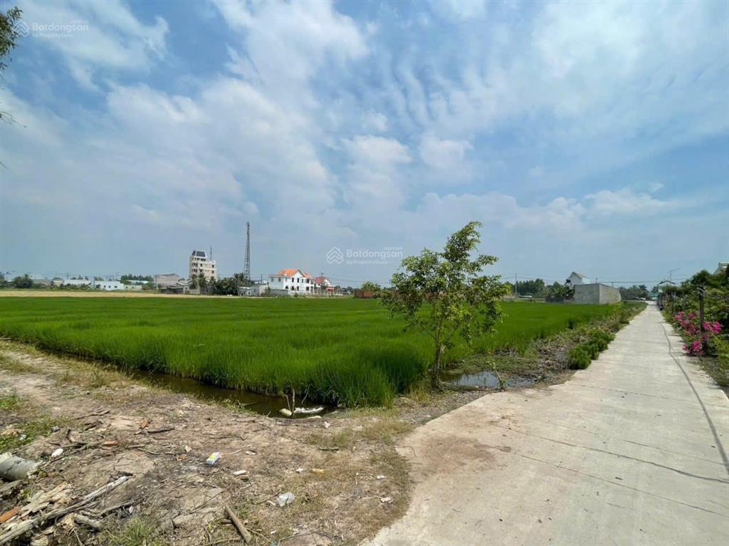 Đất làm kho bãi cty mt tl 824. ấp 7, xã lương hoà, huyện bến lức, tỉnh long an