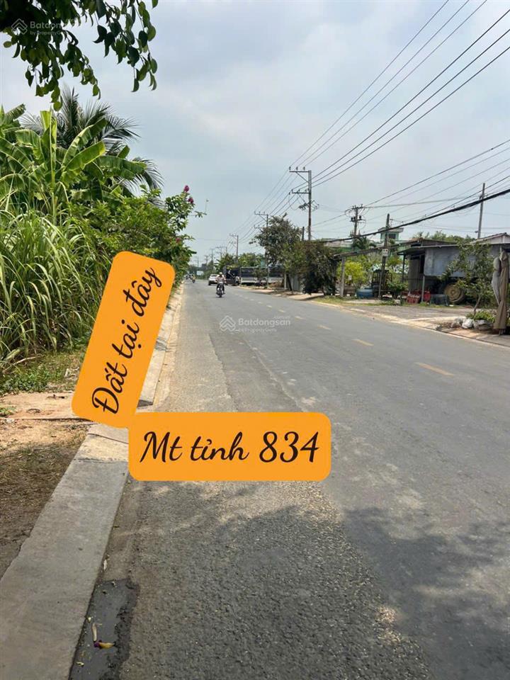 Chủ cần bán đất mt 834. bình cang 2  bình thạnh  thủ thừa, dt lớn gần trung tâm