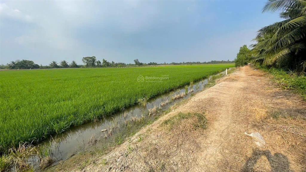 Bán 7.896m2 đất 2 mặt tiền kênh gần ranh tp.hcm giá 950 triệu/1.000m2