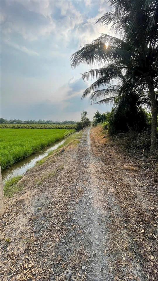 Bán 7.896m2 đất 2 mặt tiền kênh gần ranh tp.hcm giá 950 triệu/1.000m2