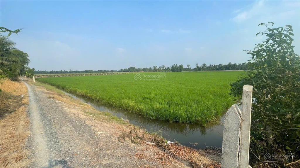 Bán 7.896m2 đất 2 mặt tiền kênh gần ranh tp.hcm giá 950 triệu/1.000m2