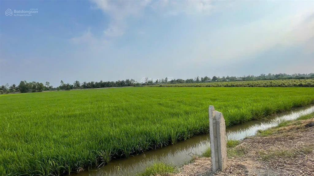 Bán 7.896m2 đất 2 mặt tiền kênh gần ranh tp.hcm giá 950 triệu/1.000m2