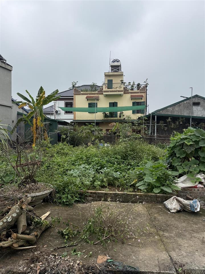 Tôi chính chủ bán 60,7m2 đại đồng thạch thất cách ql32 chỉ 200m giá 2ty250  chính chủ