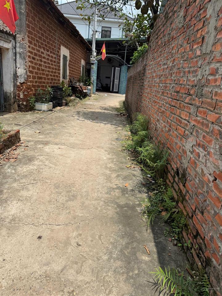 Bán đất view đẹp gần đường tỉnh 82, trạch mỹ lộc, phúc thọ, 15,5 tỷ, 51 m2