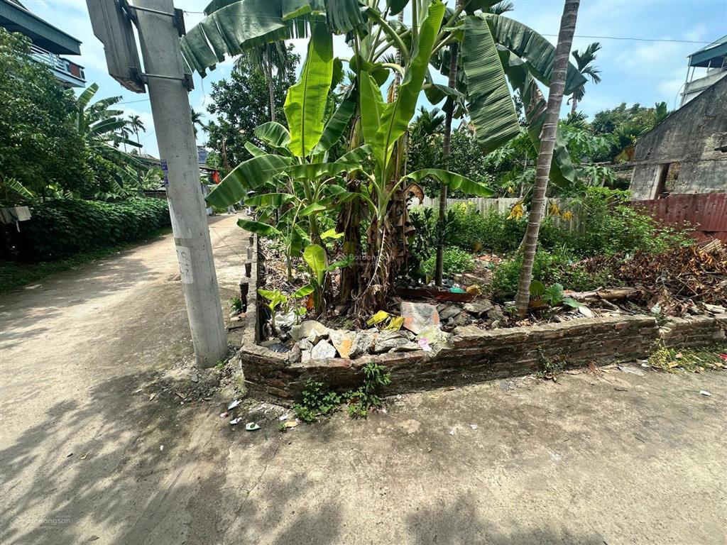 Bán đất view đẹp gần đường tỉnh 82, trạch mỹ lộc, phúc thọ, 15,5 tỷ, 51 m2