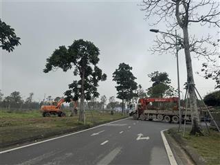 Chính chủ cần tiền bán gấp lô biệt thư ngay đường 60m đi vào tiện ích kinh doanh  0898 936 ***