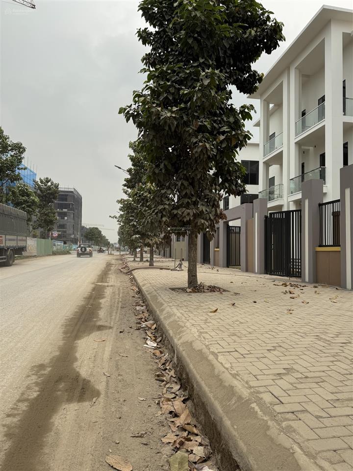 Chính chủ cho thuê biệt thự giá rẻ