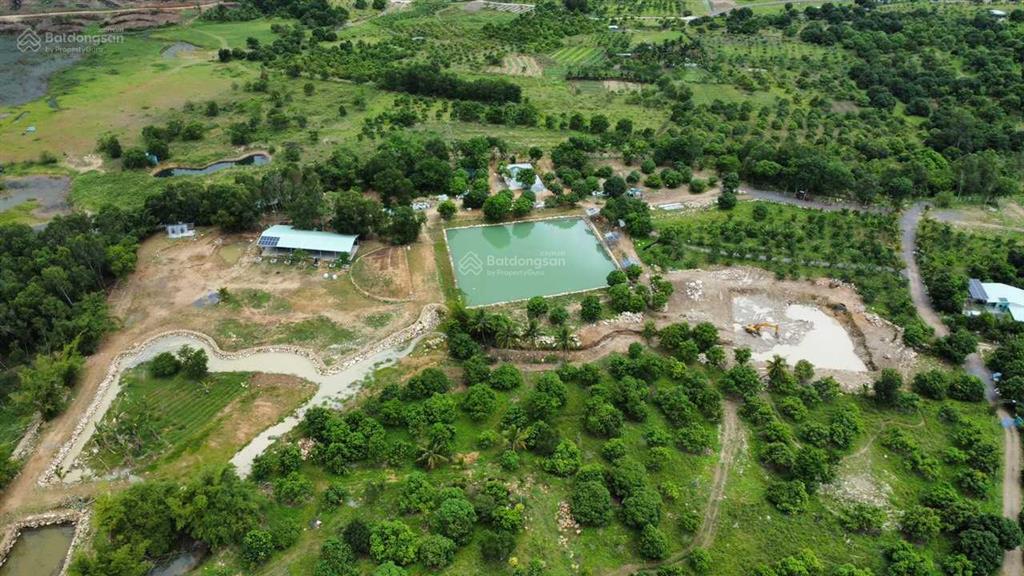 Bán đất 2 mặt tiền, cách mặt hồ am chúa chỉ 1 lô đất, giá rẻ phù hợp làm farm vườn nghỉ dưỡng