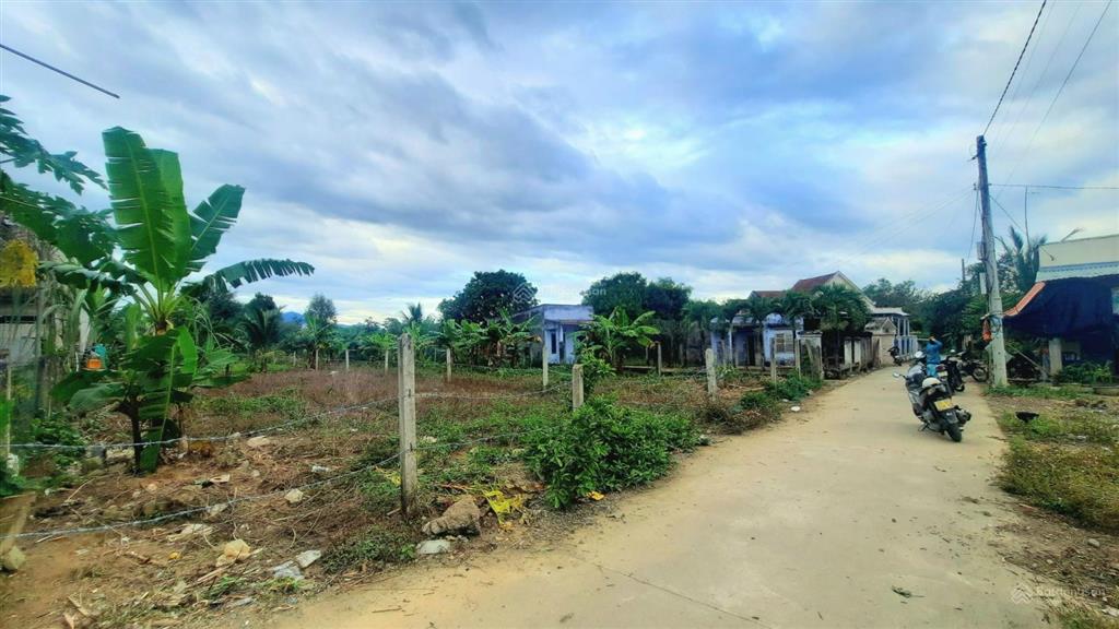 Kẹt tiền hạ giá bán nhanh lô đất vườn gần 500m2 có sẵn thổ cư giá tốt khu vực diên đồng