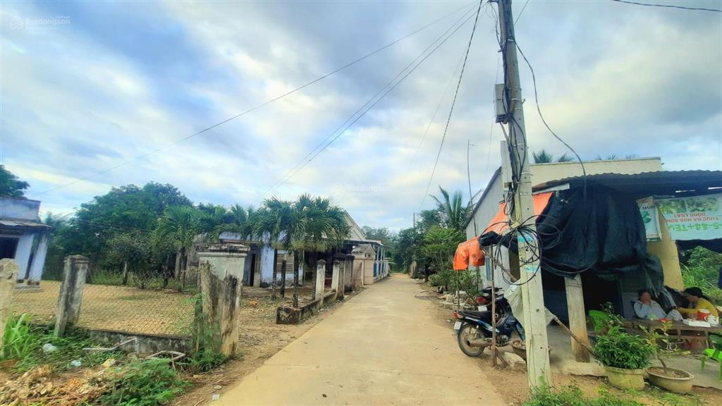 Kẹt tiền hạ giá bán nhanh lô đất vườn gần 500m2 có sẵn thổ cư giá tốt khu vực diên đồng