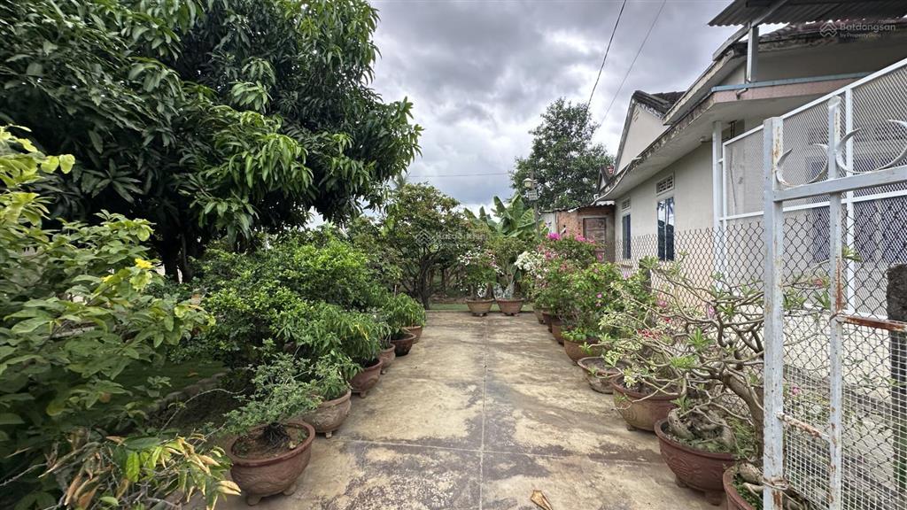 Bán đất mặt tiền xuân sơn vĩnh trung nha trang, cách đường võ nguyên giáp chỉ 200m, giá tốt đầu tư