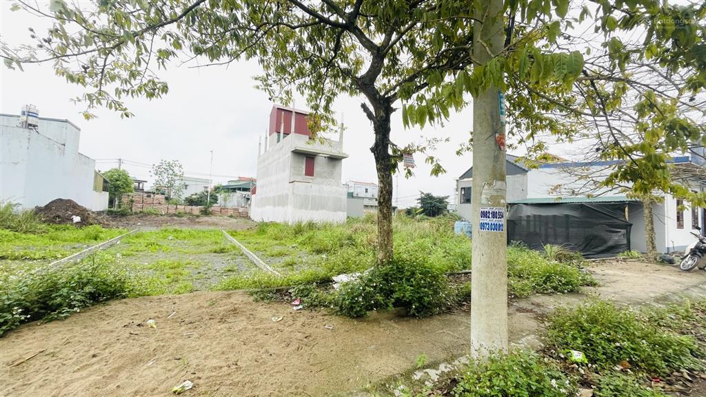 Còn 1 mảnh đấu giá bán nốt, giá tham khảo tốt trong khu vực