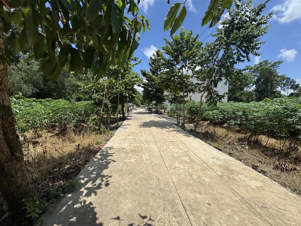 Chính chủ bán lỗ lô đất sau lưng bệnh viện xuyên á tấy ninh quốc lộ 22 tiện ích bủa vây.giá lỗ năng