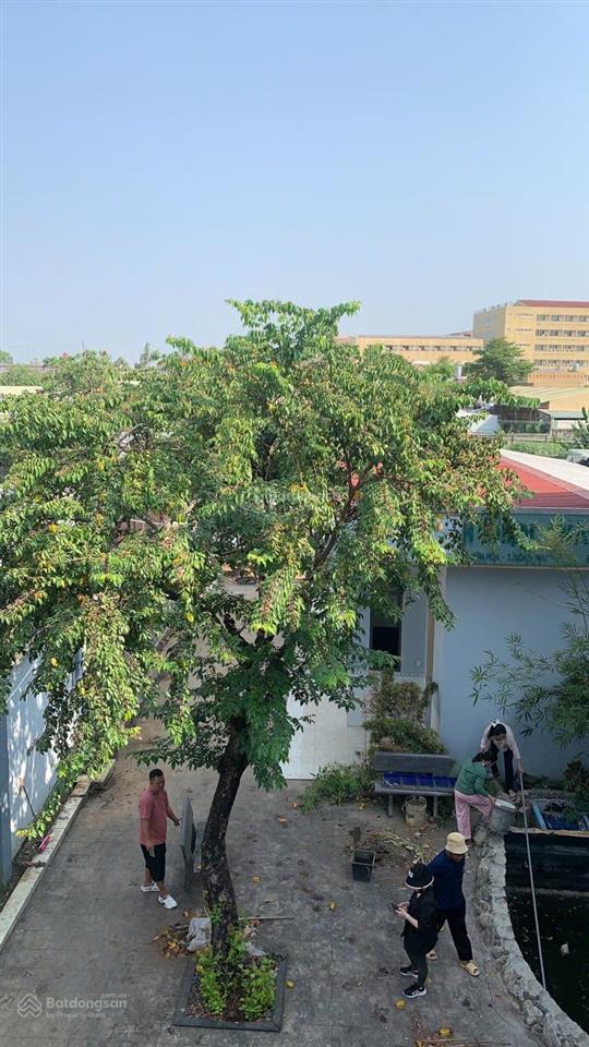 Cho thuê biệt thự sân vườn 576m² gần vincom 23tr