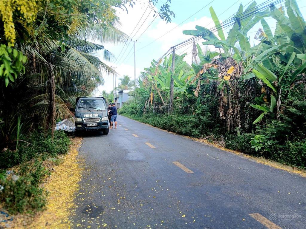 Vườn dừa sum sê rộng hơn 5 công ngay mặt tiền huyện 28b. bao giá rẻ nhất toàn tỉnh