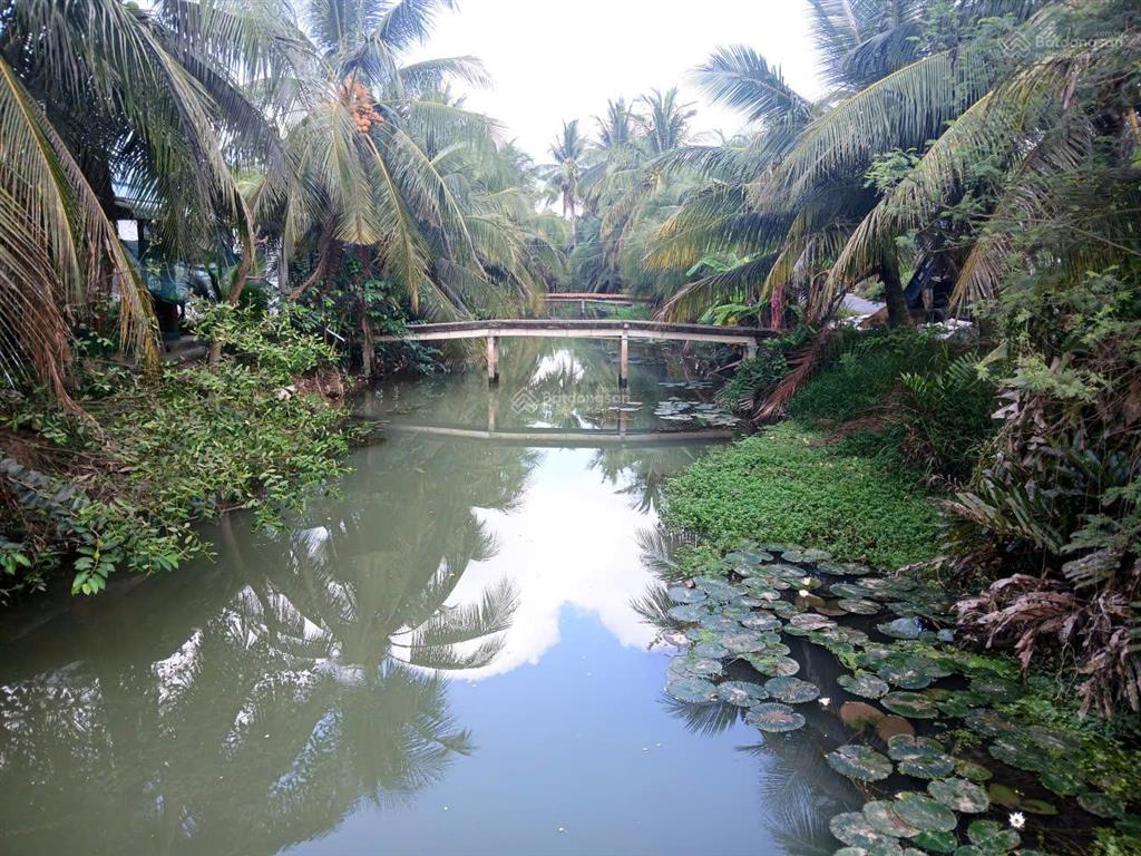 Vườn dừa sum sê rộng hơn 5 công ngay mặt tiền huyện 28b. bao giá rẻ nhất toàn tỉnh