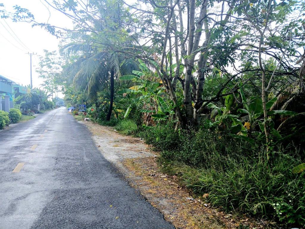 Vườn dừa sum sê rộng hơn 5 công ngay mặt tiền huyện 28b. bao giá rẻ nhất toàn tỉnh