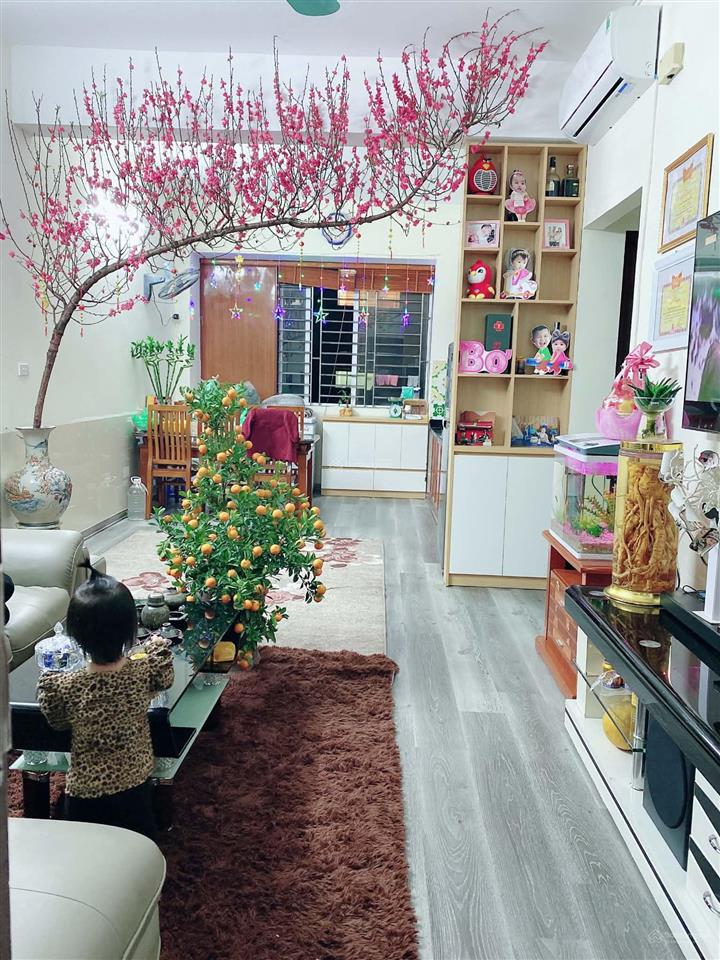 Cho thuê cc 2pn, 2wc, 69.9m2 giá tốt tại đặng xá, gia lâm, hà nội