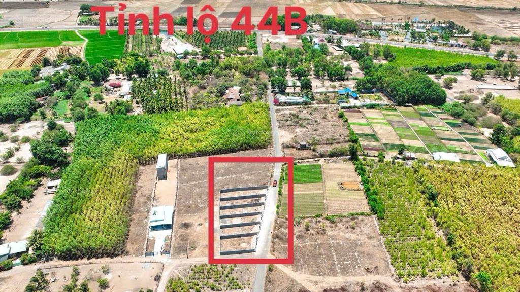 Đất thị trấn phước hải 198.7m2 (8x26m) đã xây rào kiên cố đường nhựa gần tỉnh lộ 44b, giá 1 tỷ 480