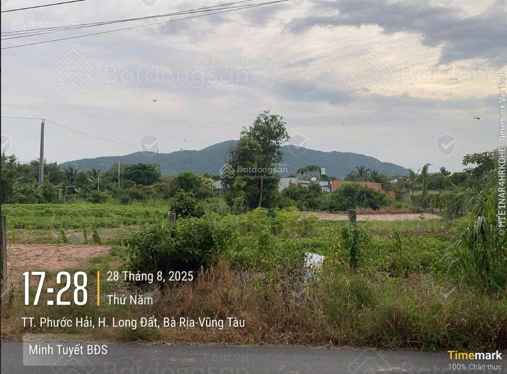 522m² đất ở 120m² mặt tiền ngang 15m, sâu 35m, đất thị trấn phước hải  biển phước hải  brvt