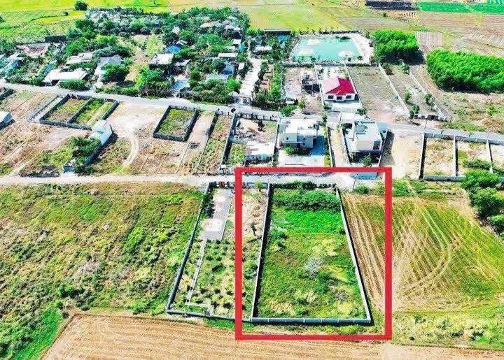 Đất nghỉ dưỡng view chân núi  biển phước hải 1230m2 sẵn thổ cư