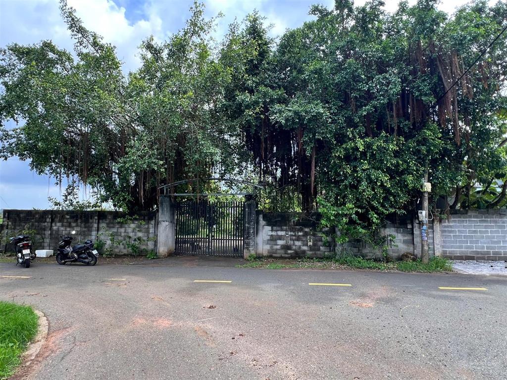 Đất có nhà vườn mặt tiền lê trọng tấn, tt đất đỏ, diện tích 1.159m²