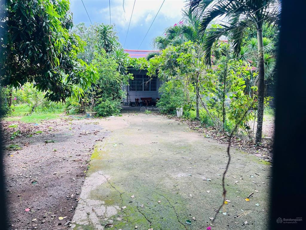 Đất có nhà vườn mặt tiền lê trọng tấn, tt đất đỏ, diện tích 1.159m²