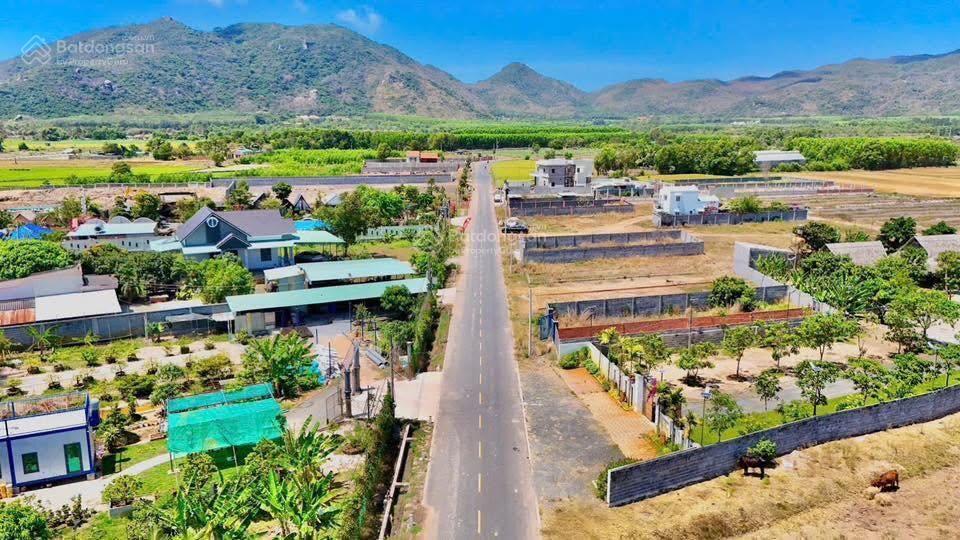 Bán 550m² biển phước hải vị trí đẹp, tiềm năng nghỉ dưỡng và đầu tư