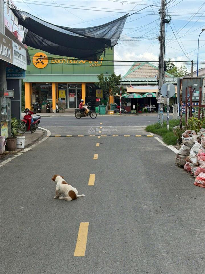 Bán 200m² đất đầu tư nghỉ dưỡng ven biển lộc an  phước hải