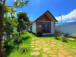 Bán nhà vườn có hồ bơi mới, mặt tiền 8m, diện tích 341m2 tại láng dài đất đỏ