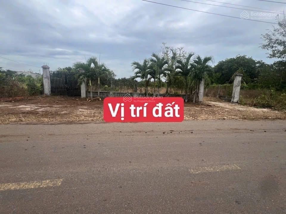 Đất trung tâm đất đỏ thành phố hồ chí minh 1008m²  200m2 thổ cư