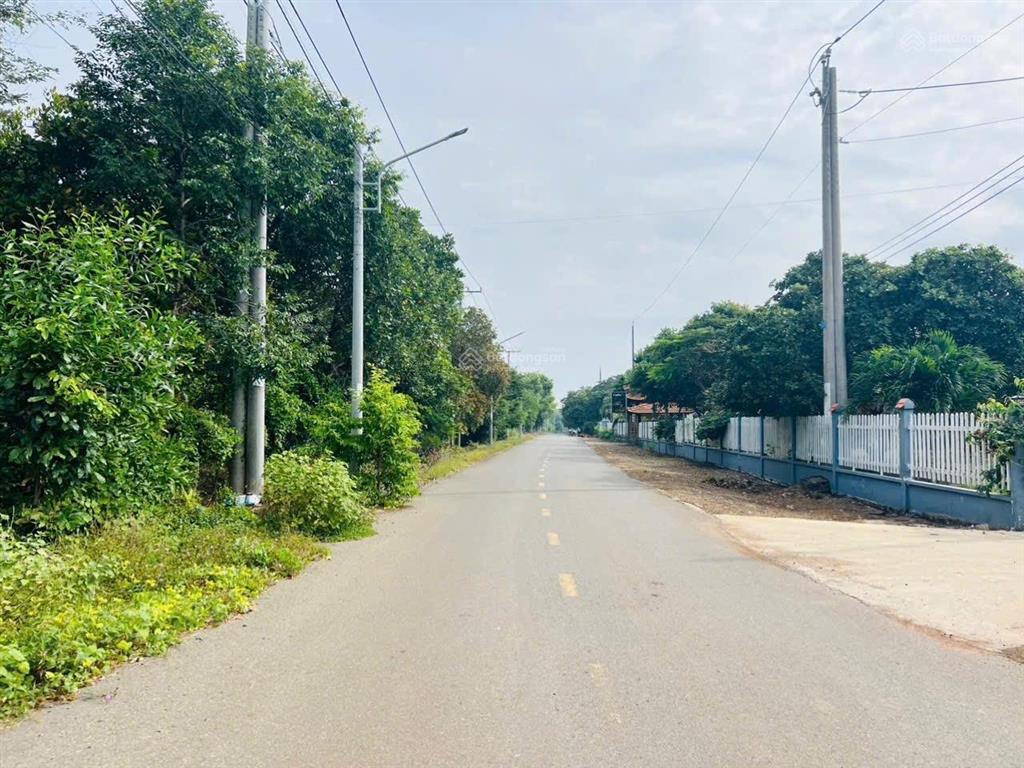 Đất trung tâm đất đỏ thành phố hồ chí minh 1008m²  200m2 thổ cư
