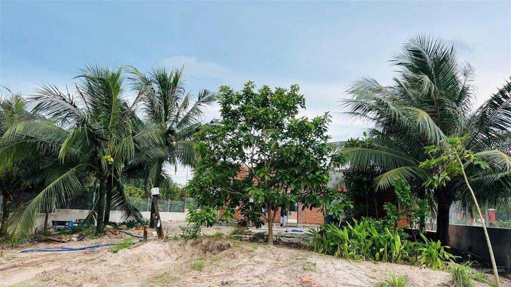 Đất đẹp gần biển phước hải  sát bên tl 44b, diện tích 1585m có 290m thổ cư, giá 6,2 tỷ