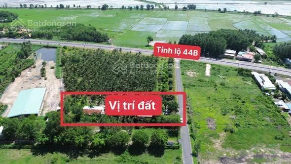 Đất đẹp gần biển phước hải  sát bên tl 44b, diện tích 1585m có 290m thổ cư, giá 6,2 tỷ