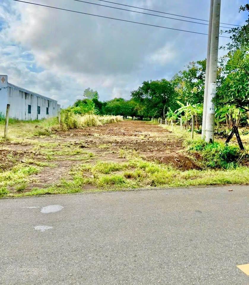 854m2 đất mặt tiền đường đoàn trung còn trung tâm tt đất đỏ  giá 2tỷ350 (thương lượng)