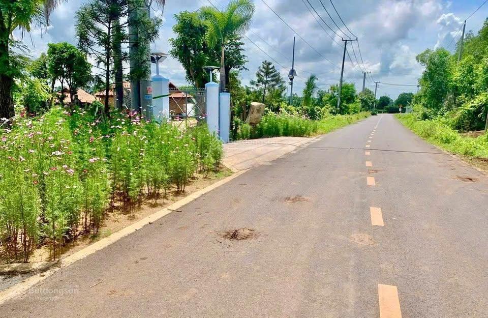 854m2 đất mặt tiền đường đoàn trung còn trung tâm tt đất đỏ  giá 2tỷ350 (thương lượng)